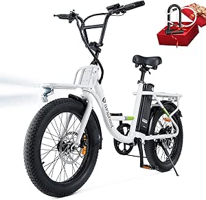 isinwheel Standard Ⅰ Electric Commuter Bike – Best Electric Bikes Canada – 1000W Peak Motor & Cargo Ready